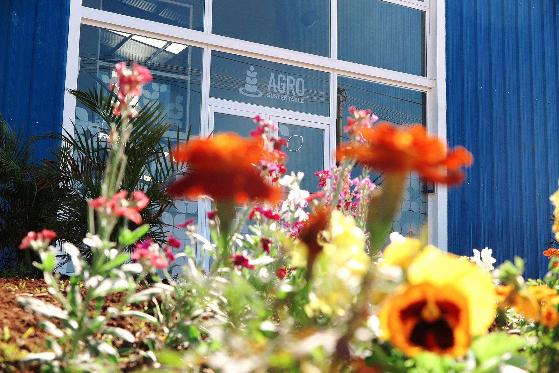 El Fertilizante Foliar Orgánico GTG de ecoAGRO Argentina tiene como materia prima principal subproductos de origen animal que son sometidos a un proceso de biotransformación e hidrólisis enzimático y proveen una gran cantidad de L-alfa aminoácidos libres de origen animal que son rápidamente asimilados por los cultivos.